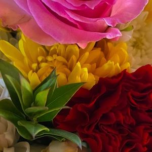 Meet your Posher, Terry